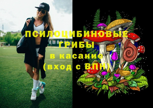 spice Алзамай
